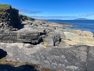 The Valentia Island Tetrapod Footprints