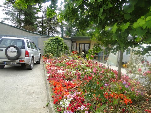 Farrell's Wedding Florist & Flower Nursery Waterford