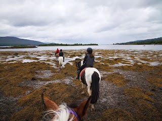 Dromquinna STABLES