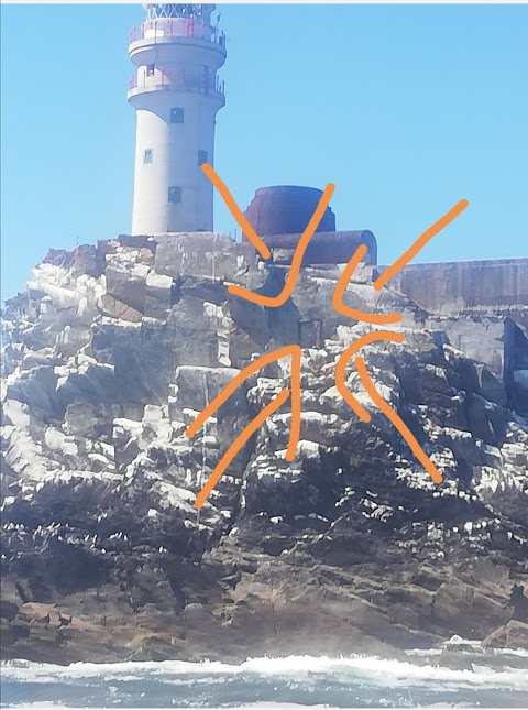 Fastnet Rock Lighthouse Tours Operated By Cape Clear Ferries