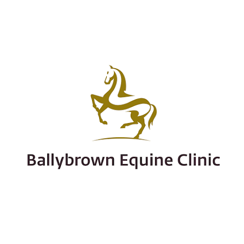 Ballybrown Equine Clinic