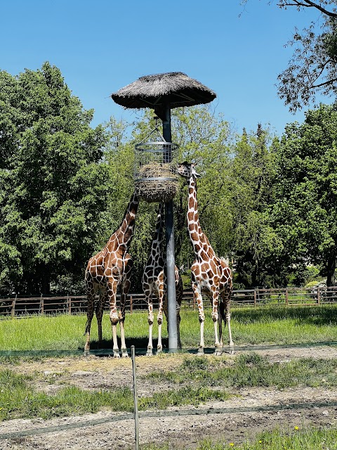 Śląski Ogród Zoologiczny - Kasy biletowe