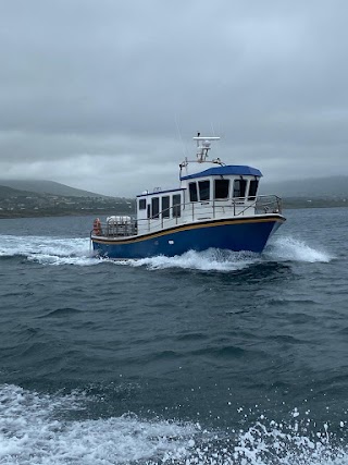 Valentia Island Cruises