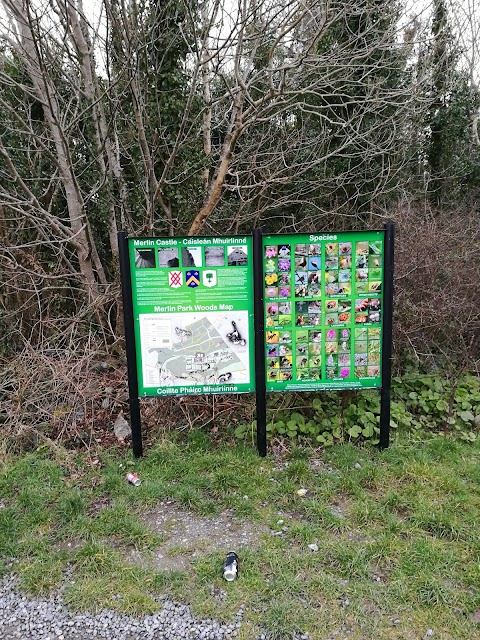 Merlin Park Woods