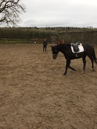 Lough Key Equestrian