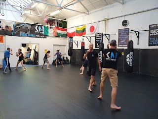 Institute of Self Defense Ireland