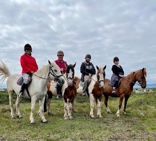 Knockillaree Equestrian