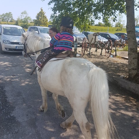 Moorlands Equestrian Centre