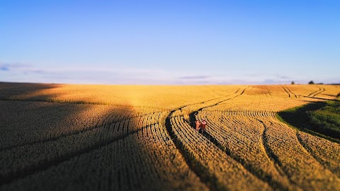 Фотограф Дзекан Денис