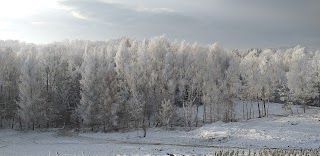 Zacisze Agroturystyka Raciborsko