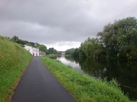 Bagenalstown Swimming Club