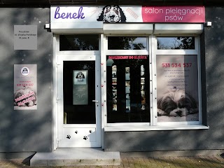 Salon Pielęgnacji Psów Benek