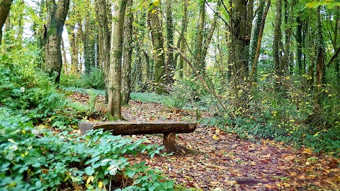 Marlogue Woods Forest Recreational Area