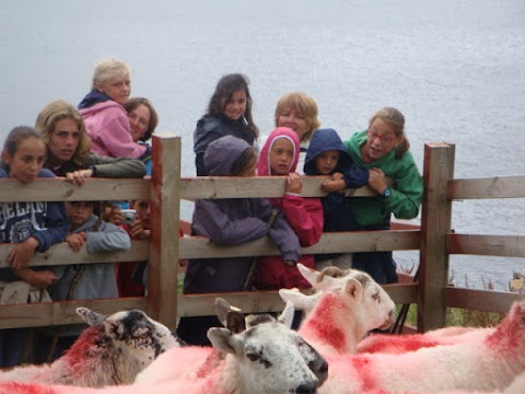 Connemara English Language School