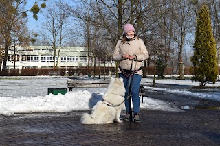 Anioł Nie Pies - Szkolenie psów i Behawiorysta Bytom, Śląsk