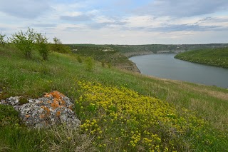 Панорама на р. Дністер