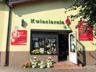 KWIACIARNIA Katarzyna Ciorach