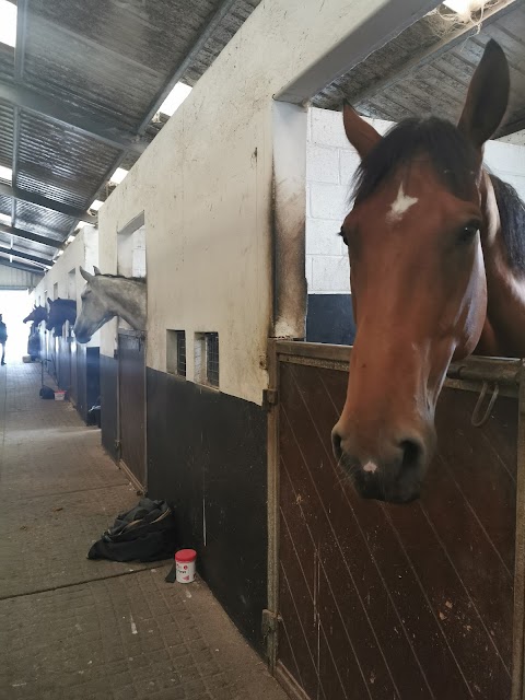 Warrington Equestrian Centre