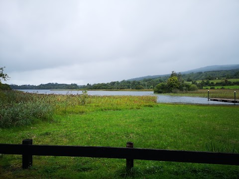 Knockranny Woods