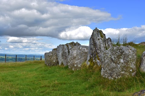 Institute of Study Abroad Ireland