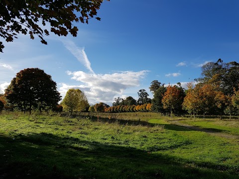 Mallow Town Park