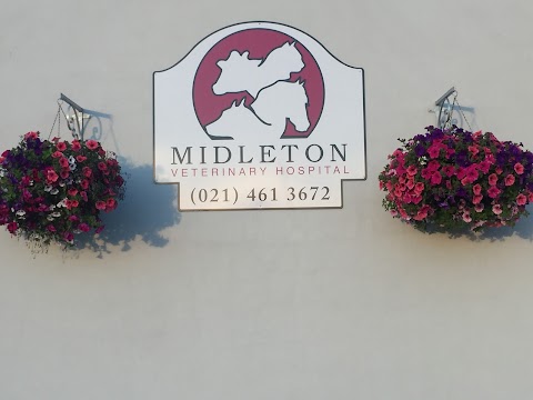 Midleton Veterinary Hospital