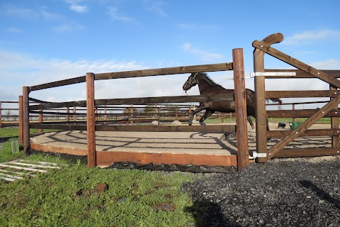 Castle Fencing