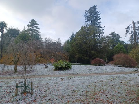 Fota House & Gardens Car Park