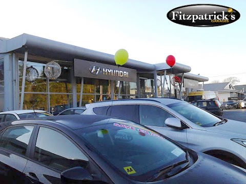 Fitzpatrick's Garage Accident Repair Centre Kildare