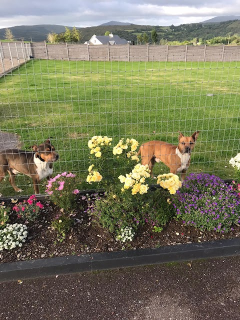 Ballingeary Boarding Kennels & Cattery