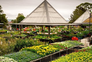 Flower Power Garden Centre Penrith