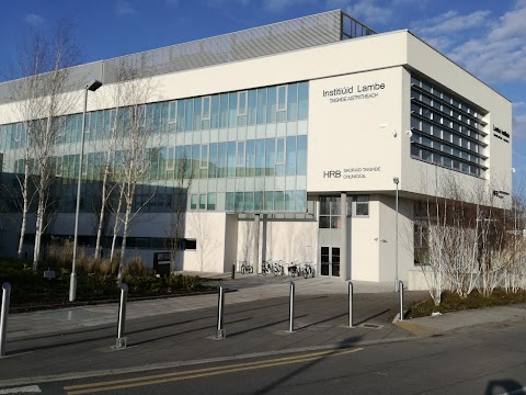 Lambe Institute for Translational Research