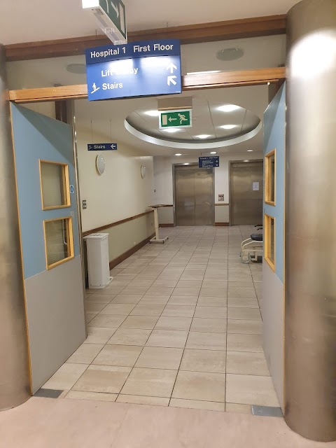 Hospital 2, Merlin Park