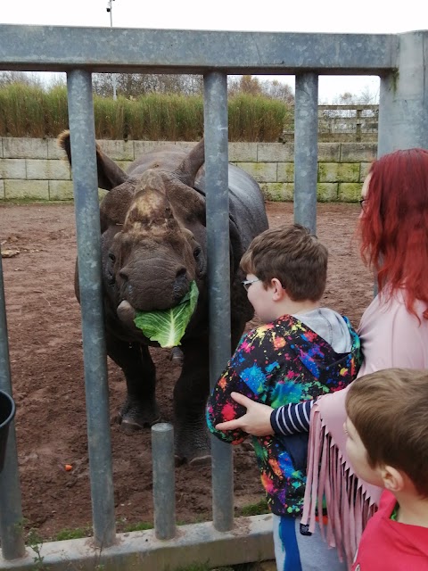 Fota Wildlife Car Park