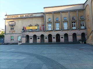 Kino Fenomen