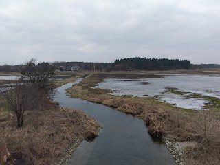 Kościół św. Matki Teresy z Kalkuty