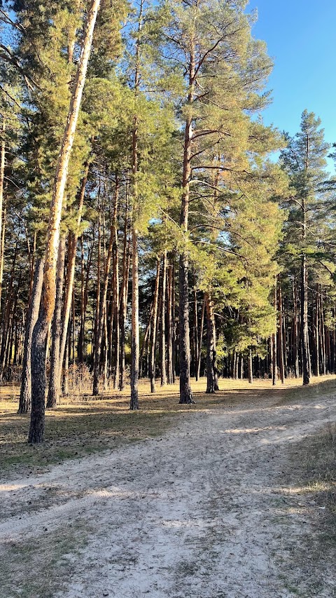 TIR Терешки, база відпочинку великоваговиків.