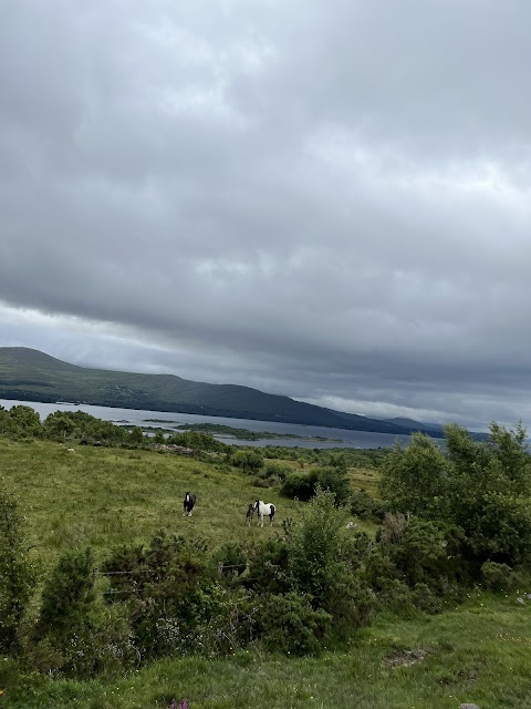 Kenmare House B&B and Dan's Cottage