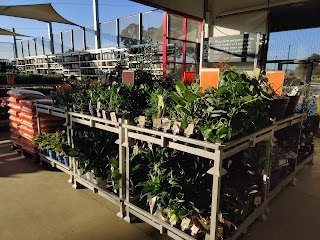 Bunnings Mernda