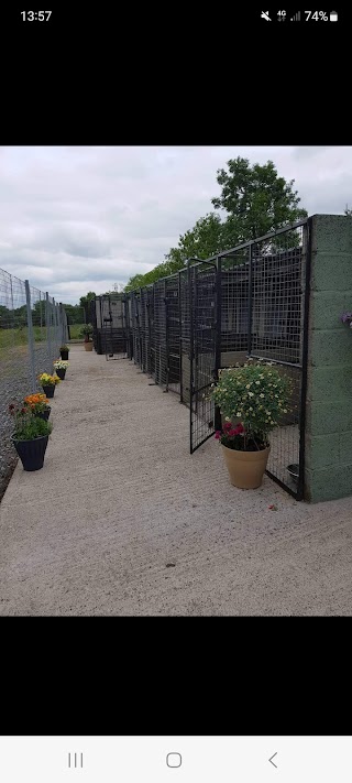 Knockphalegh boarding kennels