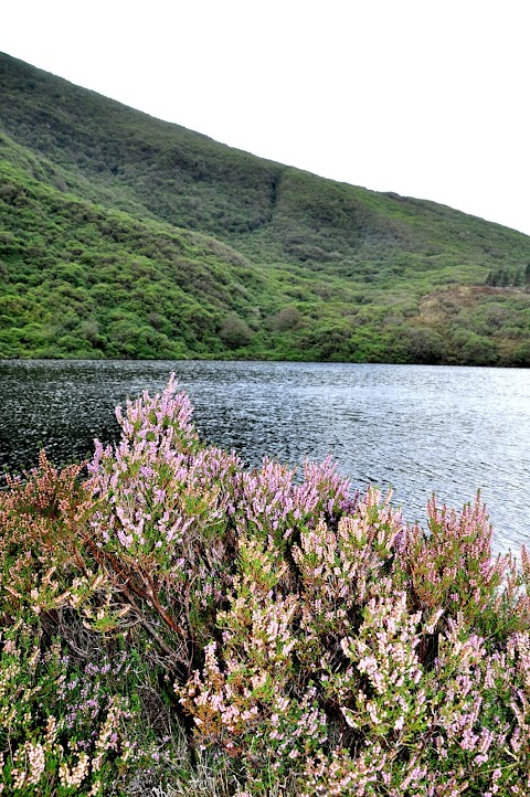 Bay Lough