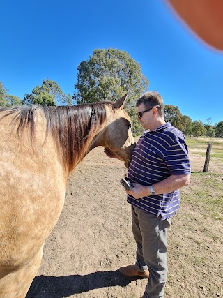 Equine Assisted Psychotherapy Queensland (EAPQ)