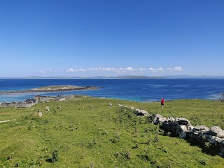 Blacksod Sea Safari