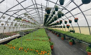 Hamel's Farm Market & Nursery