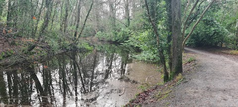 Emo Court NEW Car Park