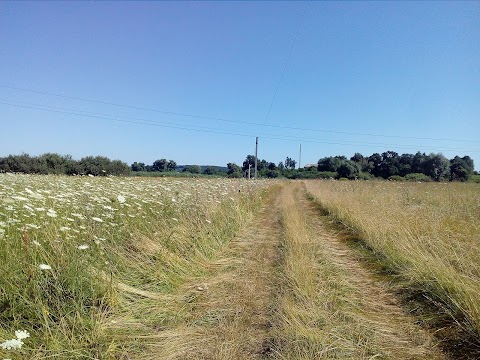 Гідроголічний заказник "Сульський"