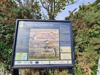 South and East Cork Bird Trail