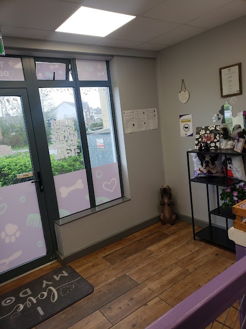 Lilla's Dog Grooming Salon