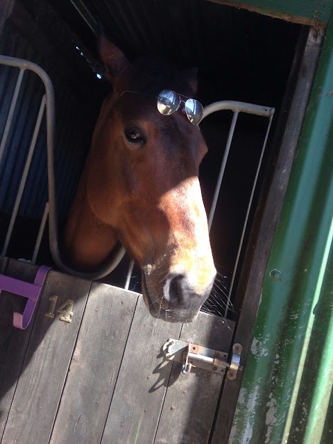 Glen Aire Stables