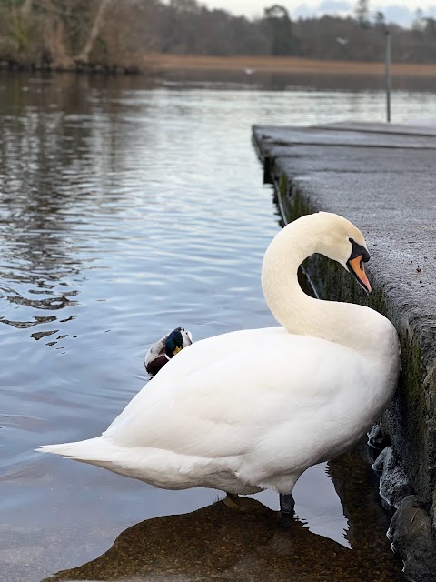 Back Avenue Doorly Park, Pier on the Garavogue